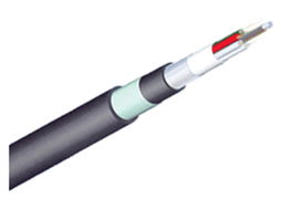 Winfiber 12芯室外鎧裝多模光纜 WF GYTA53 12A1a 層絞式結構在嚴苛環境下的光纖網絡解析